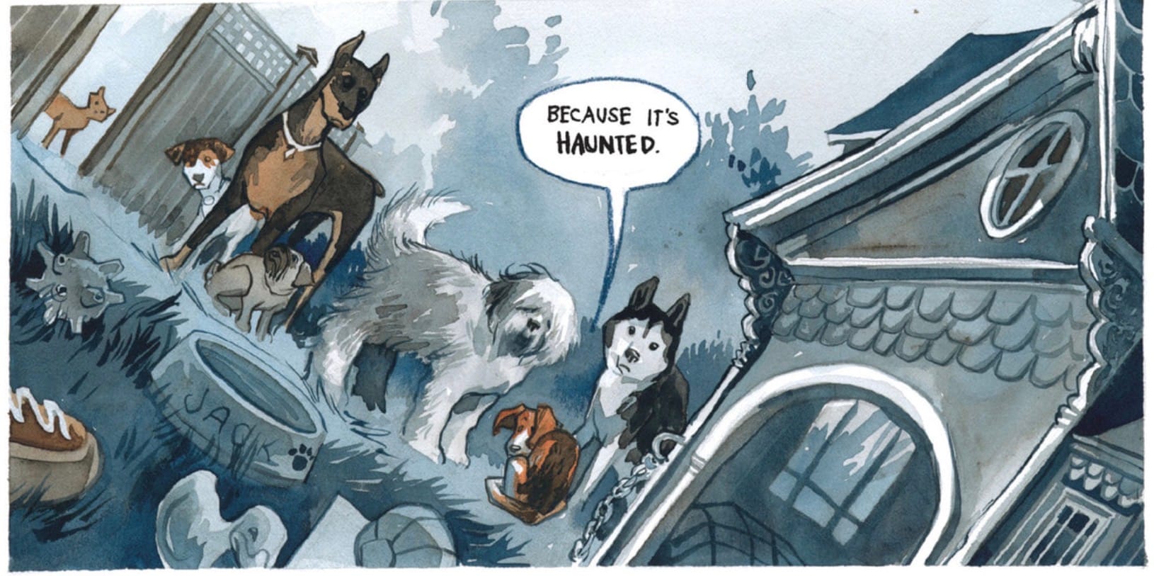 From the Archives- Beasts of Burden: Animal Rights