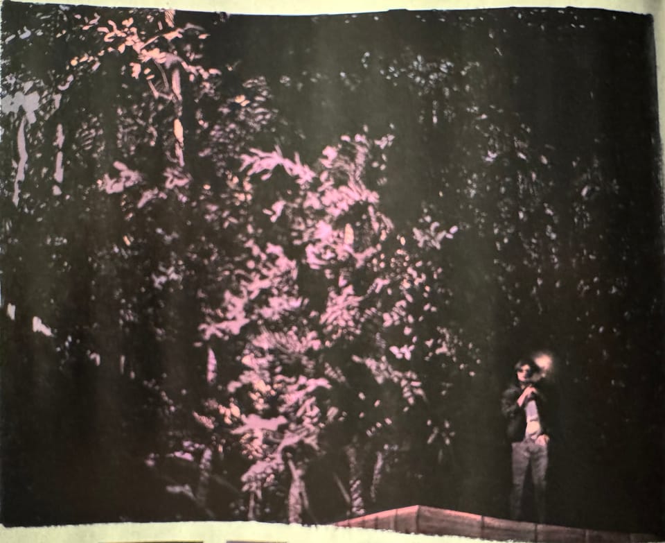 The Nice House On The Sea #4 by Tynion IV, Bueno, and Bellaire— Mini Review